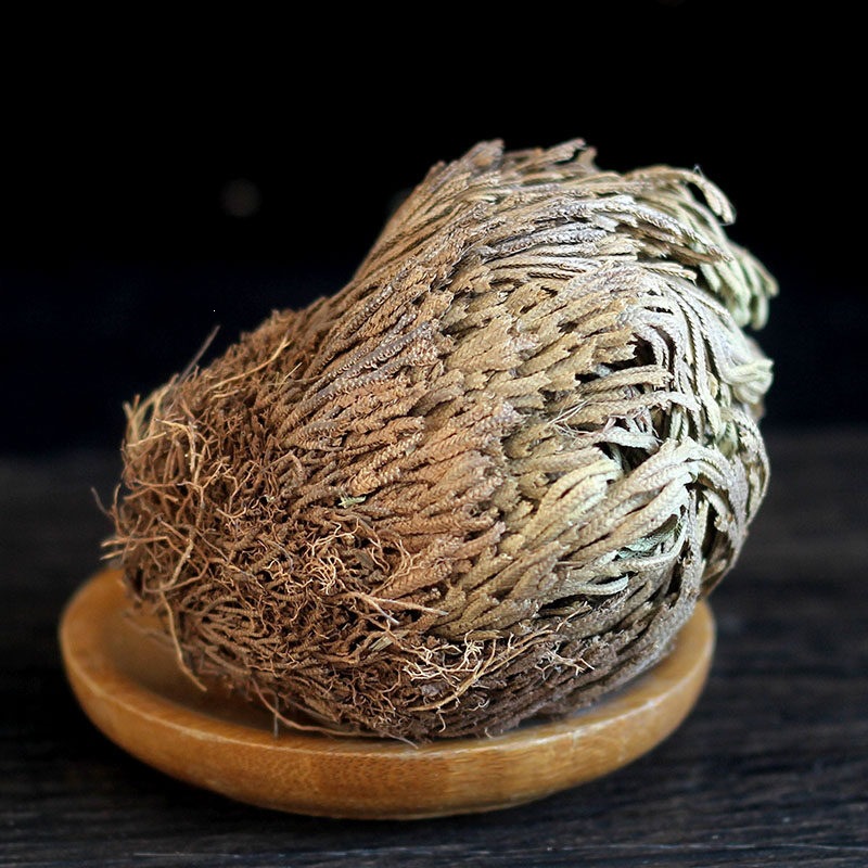 Dried Selaginella Herb Juan Bai 500g Resurrection Plant Raw Chinese Herbal Tea Material - Image 3