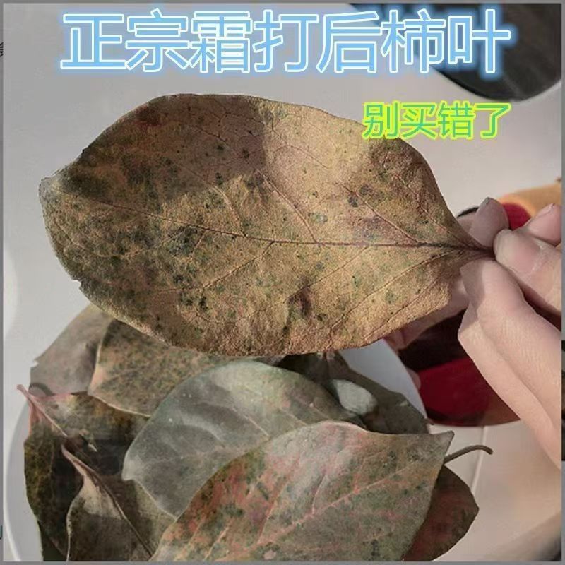 Dried Persimmon Leaf Shi Ye 500g Sulfur-Free Sun-Dried Herbal Tea Leaves - Image 4