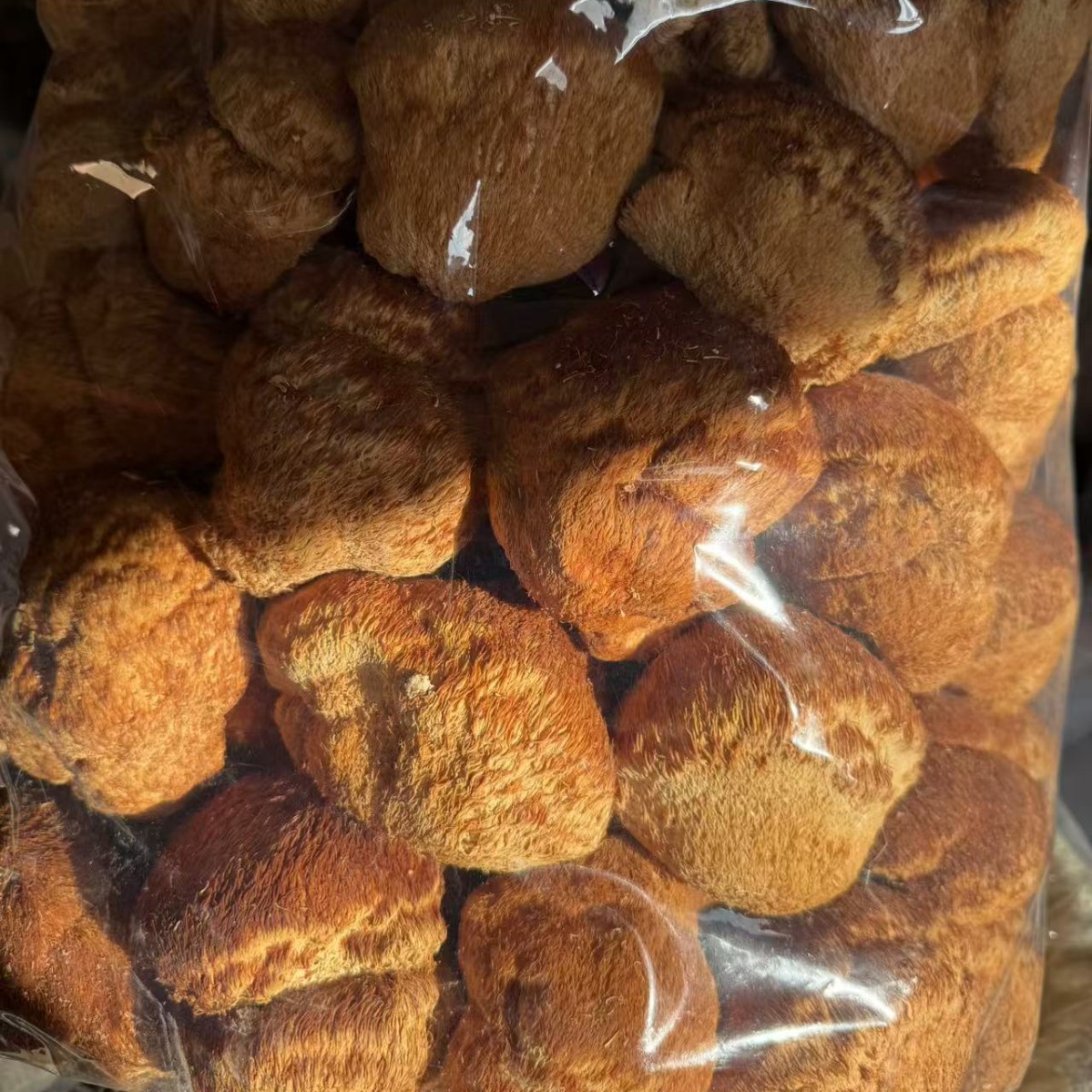Dried Lion's Mane Mushroom Hou Tou Gu 500g Northeast China Dried Mushroom for Soup and Tea - Image 3