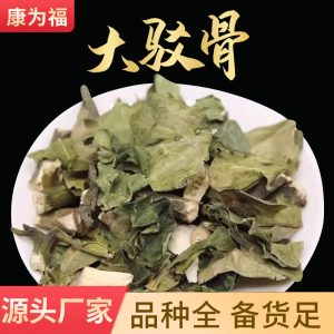 Da Bo Gu (Gendarussa vulgaris) — Dried TCM Herb for Bone-Setting & Wind-Damp Formulas