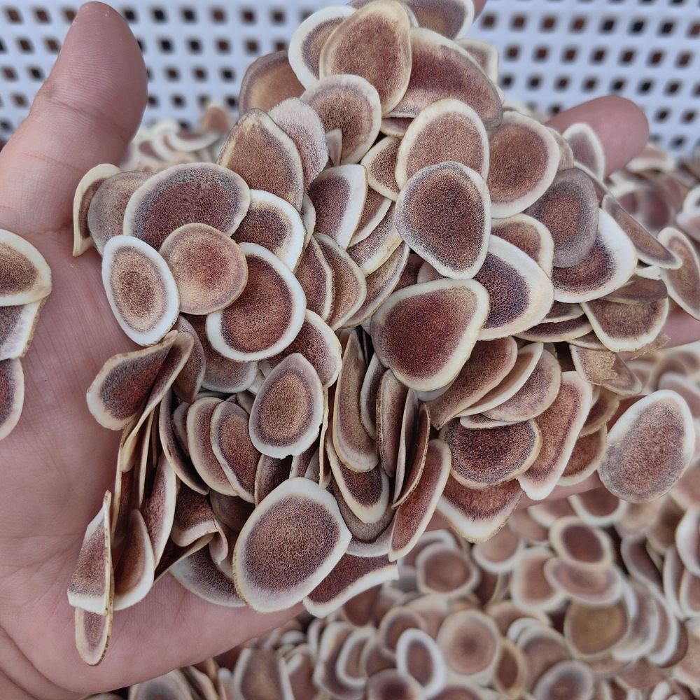Deer Antler Slices Lu Rong Pian Dried TCM Herb Slices for Decoction and Infused Wine 500g - Image 3