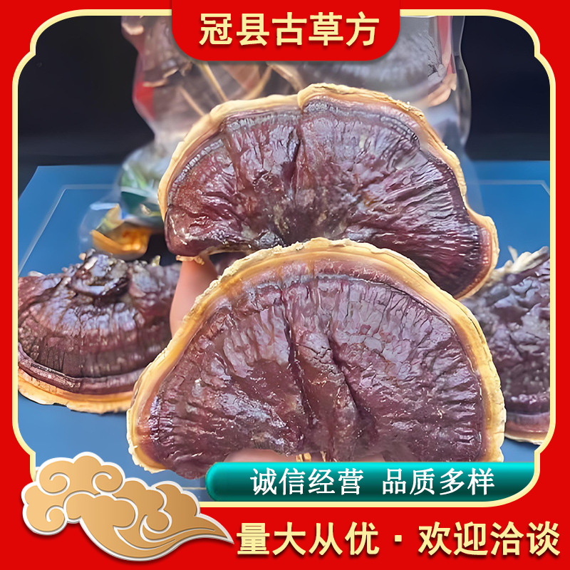 Jin Bian Lingzhi Reishi Mushroom Slices and Powder Custom Processing Raw Herb - Image 3