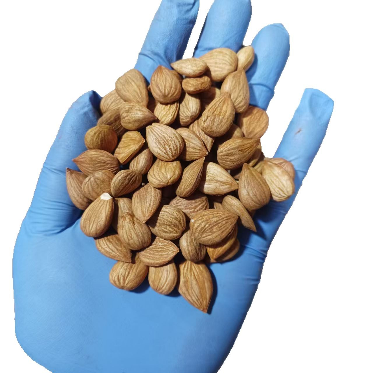 Sweet Almond Raw Shelled Almonds Tian Xing Ren 500g Grade A Natural Nut Snack - Image 5