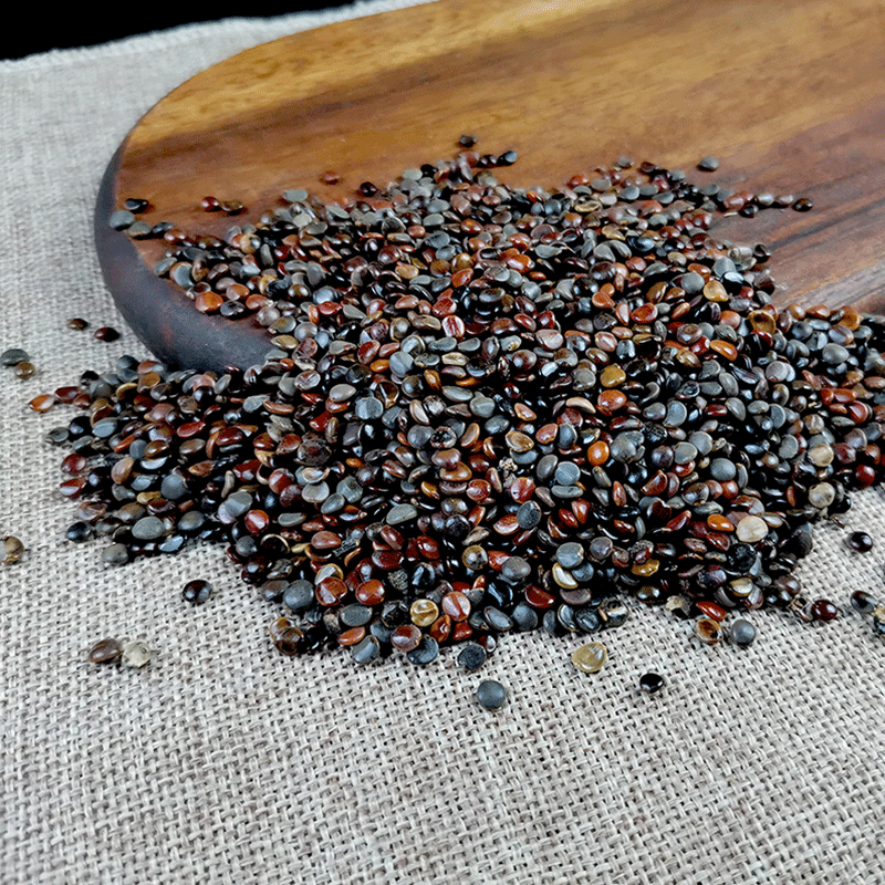 Dried Hovenia Dulcis Seeds Zhi Ju Zi Natural Raisin Tree Fruit for Herbal Tea and Decoction 500g - Image 3