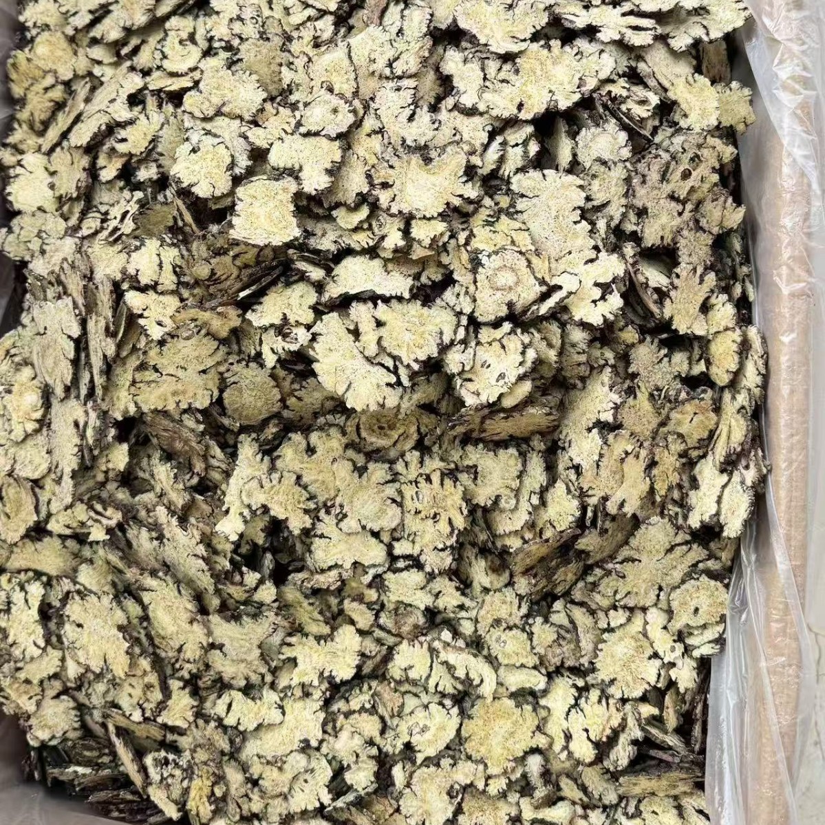 Chuan Xiong Sichuan Lovage Rhizome Slices Dried Herb for Decoction and Tea 500g - Image 4