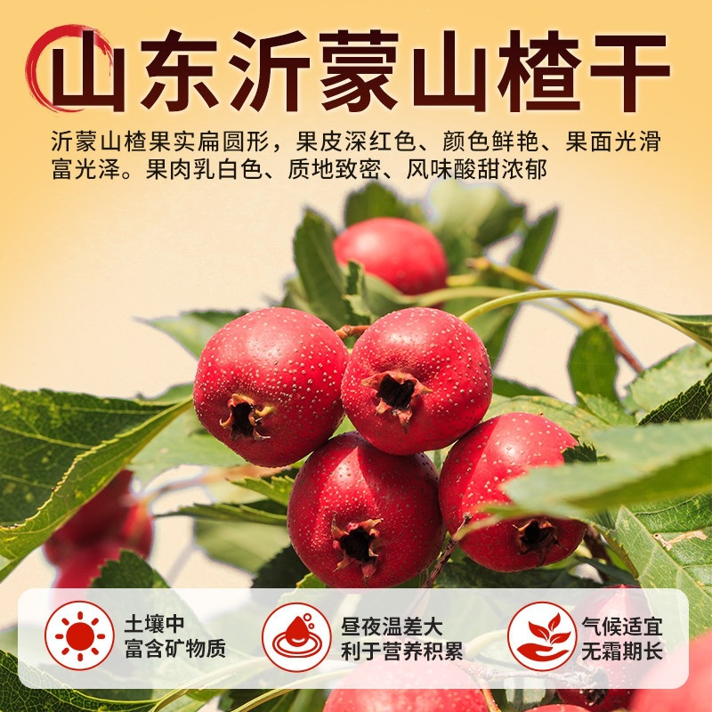 Premium Dried Hawthorn Slices Shan Zha 山楂 Seedless Coreless Tea Slices No Additives 3 Jars 250g Each - Image 4