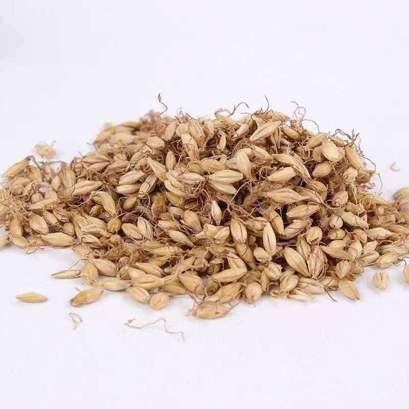 Raw Mai Ya Dried Barley Sprout Grain for Herbal Decoction and Tea 500g - Image 2