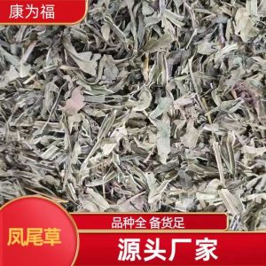 Feng Wei Cao (Pteris multifida) — Dried Chinese Herb, Powder Option, 500g
