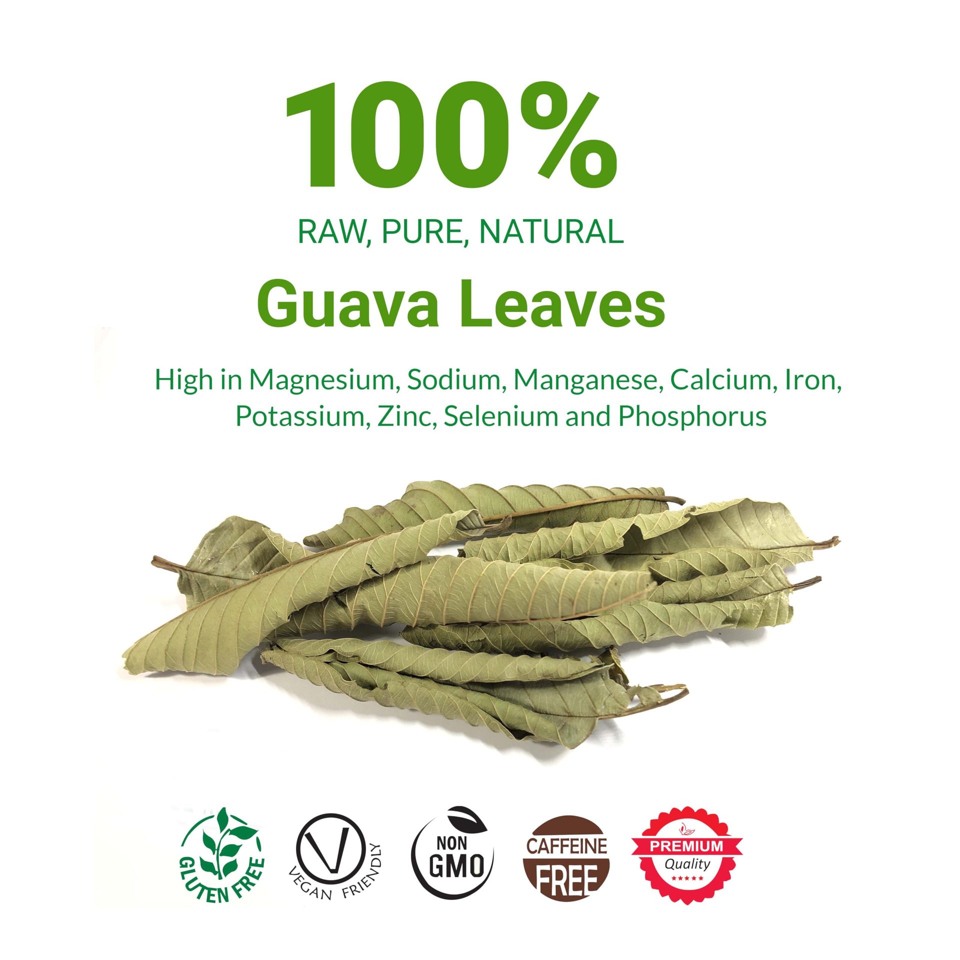 Whole Dried Soursop Leaves 120g Bag Freeze Dried Herbal Tea Leaves for Daily Infusions - Image 2