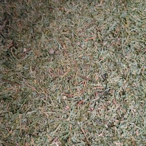 Ce Bai Ye Powder (Platycladus orientalis) — Dried Arborvitae Leaf Herb, 500g