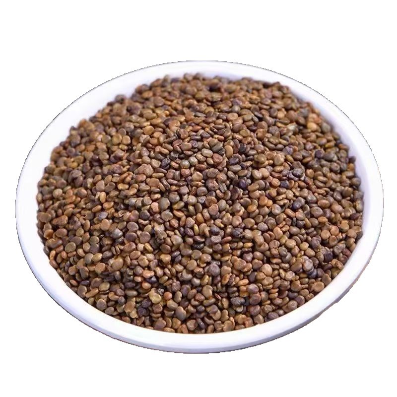 Sha Yuan Zi Powder 500g Astragalus Cistanche Free Herbal Powder for Daily Tea and Culinary Use - Image 5