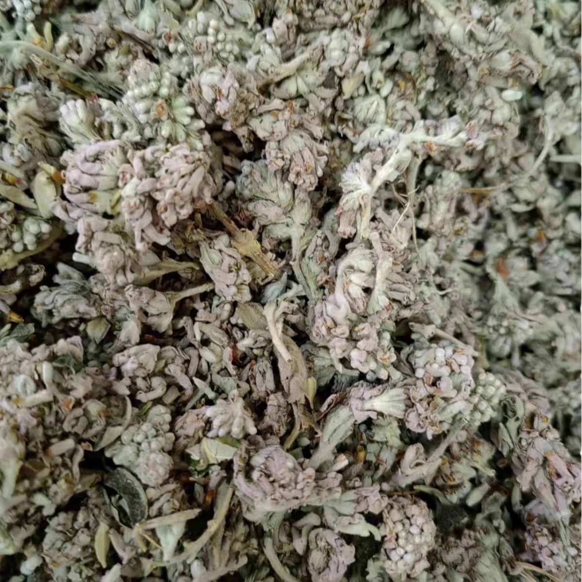 Mi Meng Hua (Buddleja officinalis) — Dried Flower Buds for Herbal Tea & TCM Blends - Image 5