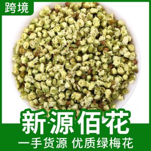 Green Calyx Plum Flower (Prunus mume) — Dried Herbal Flower Tea, 500g Bulk