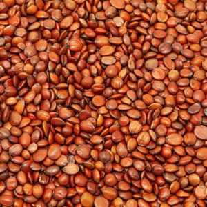 Suan Zao Ren (Ziziphus jujuba var. spinosa) — Sulfur-Free Wild Jujube Seed for Tea & Soup