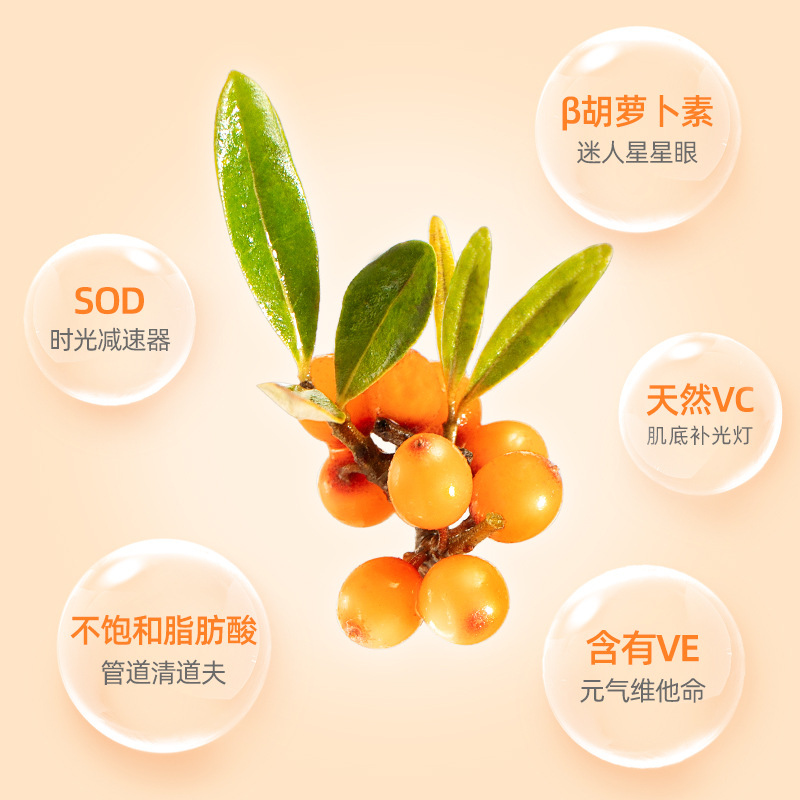 Sea Buckthorn Juice Puree 7 Sachets 210ml Fresh Pressed Herbal Fruit Drink - Image 3
