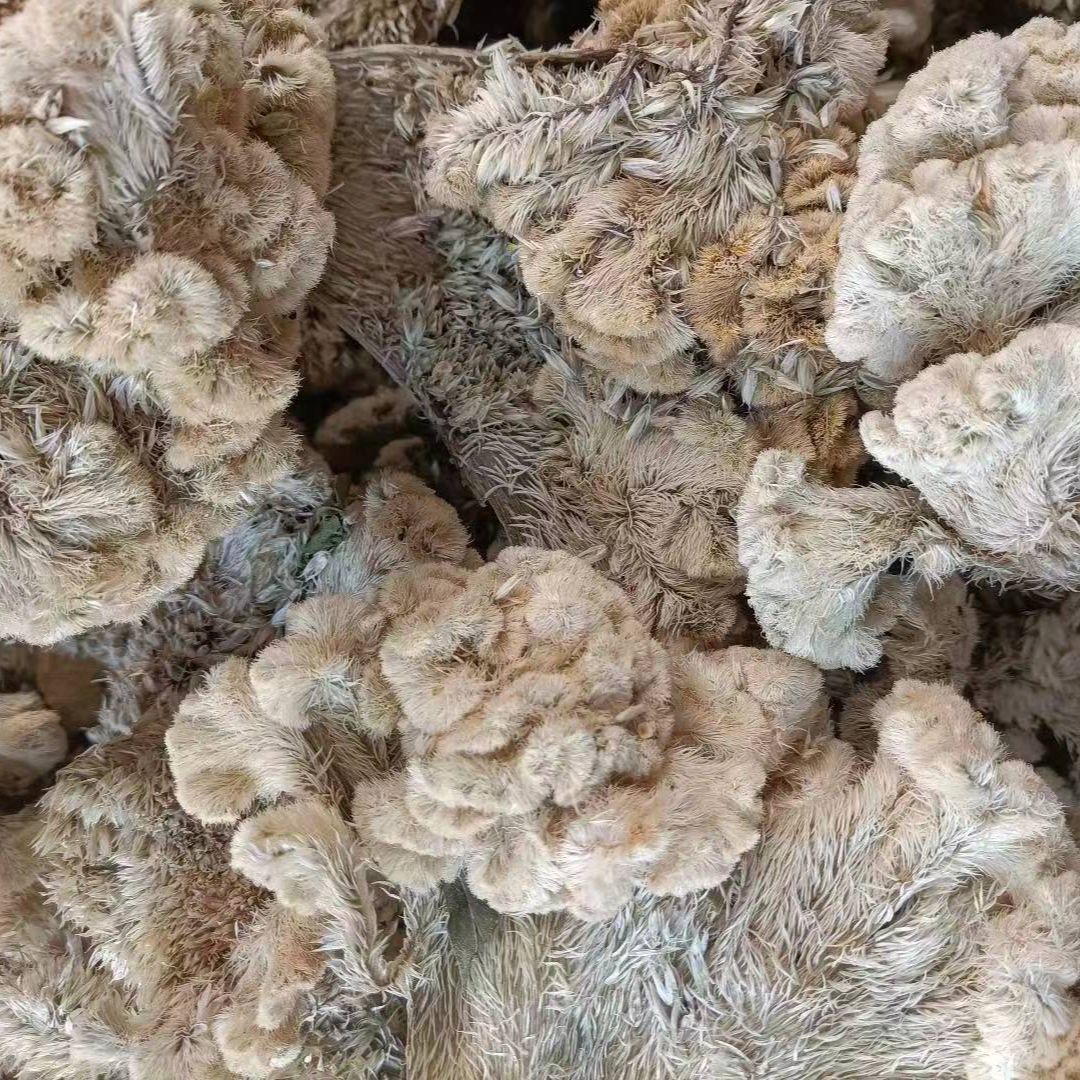 Ji Guan Hua (Celosia argentea) — Dried White & Red Cockscomb Flower, 500g - Image 4
