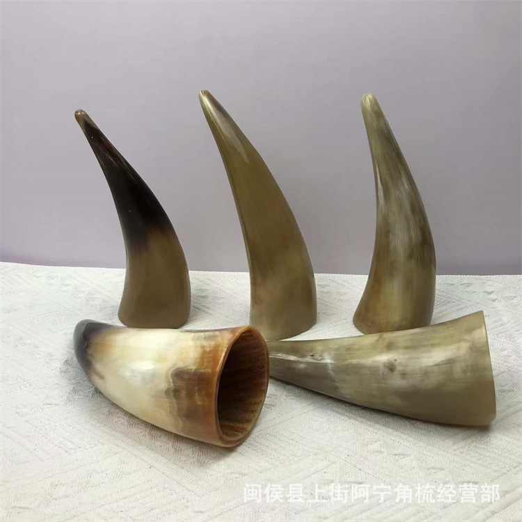 Horn Fire Cupping Set 16 Pieces Buffalo Horn Guan Guan 13-20 cm Meridian Massage Tool for Spa and Body Use - Image 4