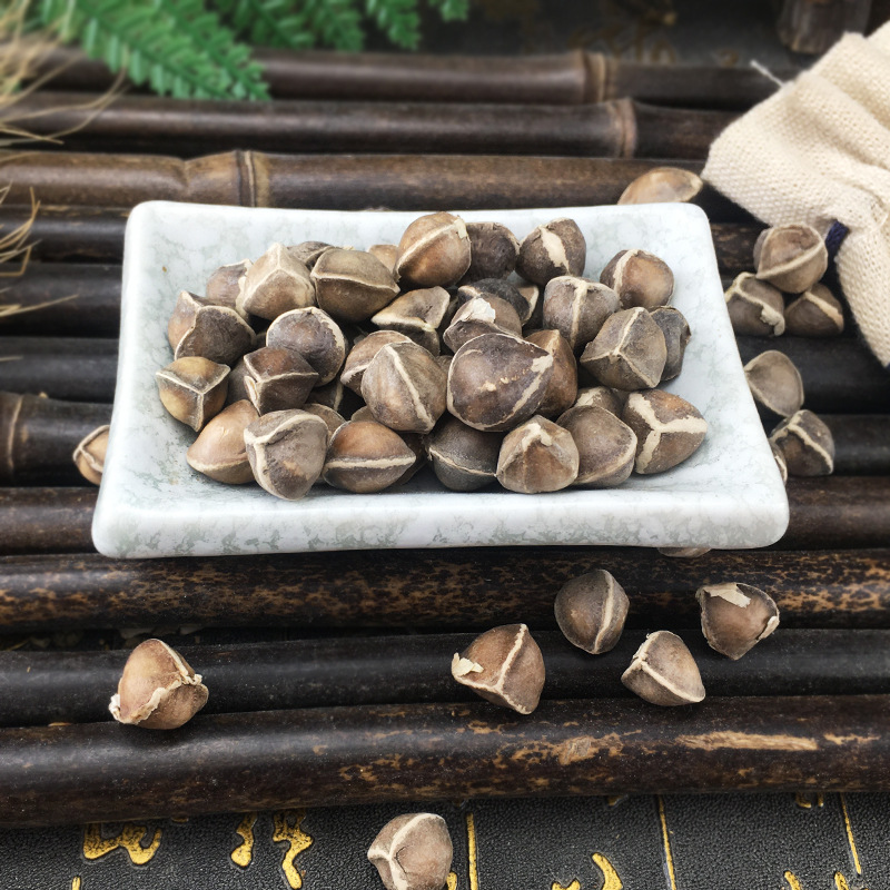Moringa Seeds La Mu Zi 辣木籽 Dried Whole Seeds 500g Bulk Herbal Botanical - Image 4