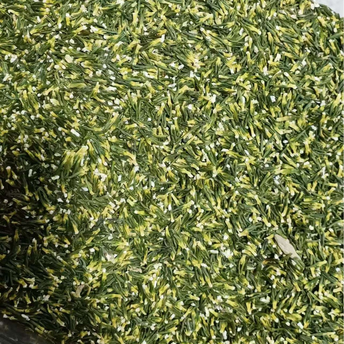 Dried Lotus Plumule Lian Zi Xin 500g Herbal Tea Ingredient for Traditional Decoctions - Image 3