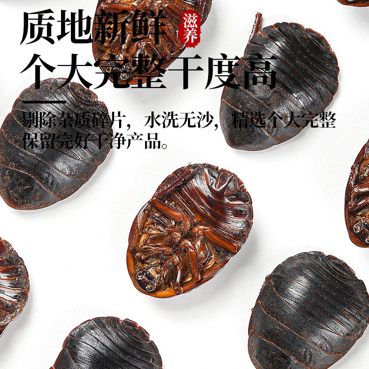 Tu Yuan Dried Ground Beetle 土元 Whole Insect TCM Herb 500g Traditional Decoction Ingredient - Image 2