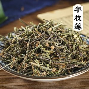 Ban Zhi Lian (Scutellaria barbata) — Dried Chinese Herb, 500g Bulk Food-Herb Cut