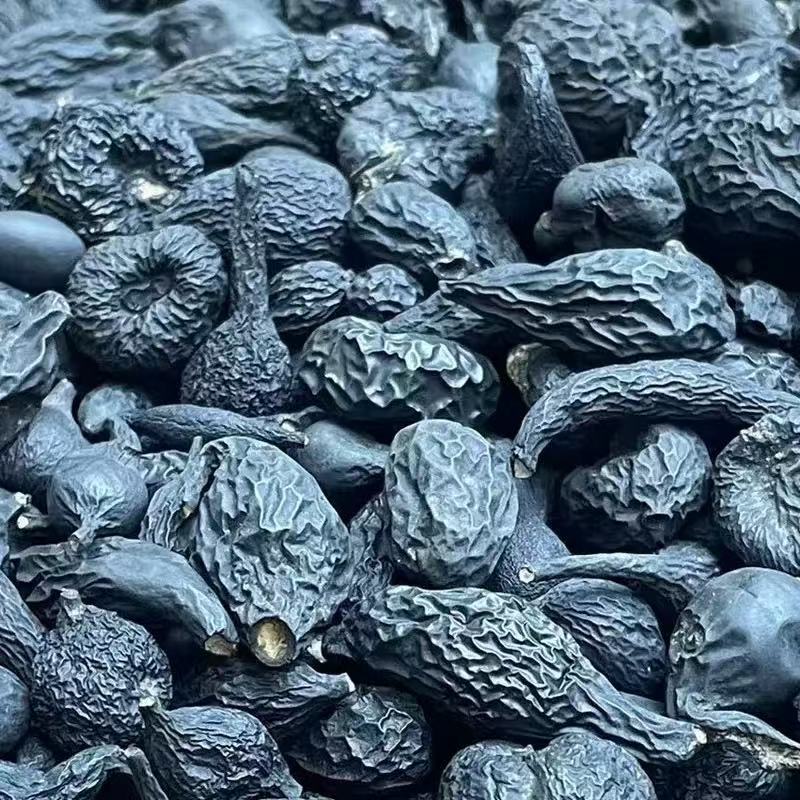 Wu Ling Shen (Xylaria nigripes) — Dried Medicinal Fungus, 50g Food Herb - Image 3