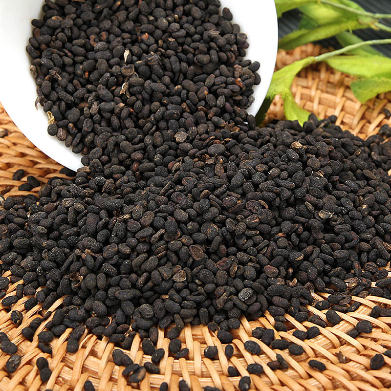 Bu Gu Zhi (Psoralea corylifolia) — Dried Food Herb Seeds, 500g - Image 3
