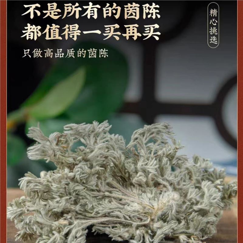 Yin Chen Dried Artemisia Capillaris Herb 50g Bottle Traditional Chinese Herbal Tea Ingredient - Image 3
