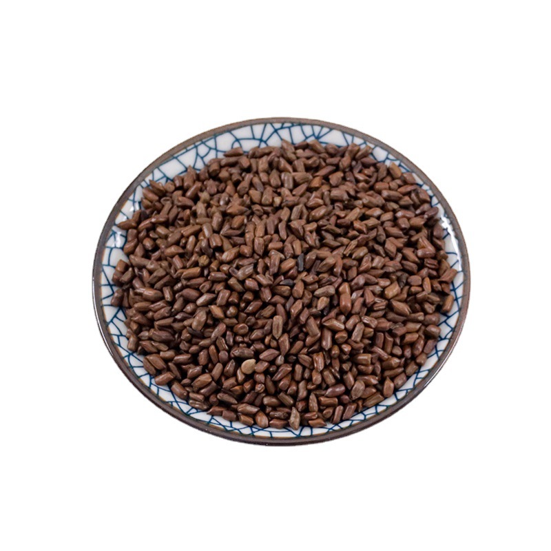 Roasted Jue Ming Zi (Cassia obtusifolia) — Dried Cassia Seed for Herbal Tea, 250g Bottle - Image 5
