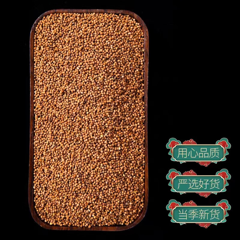 Dried Cuscuta Seed Tu Si Zi 500g Chinese Dodder Seed for Tea and Decoction - Image 2