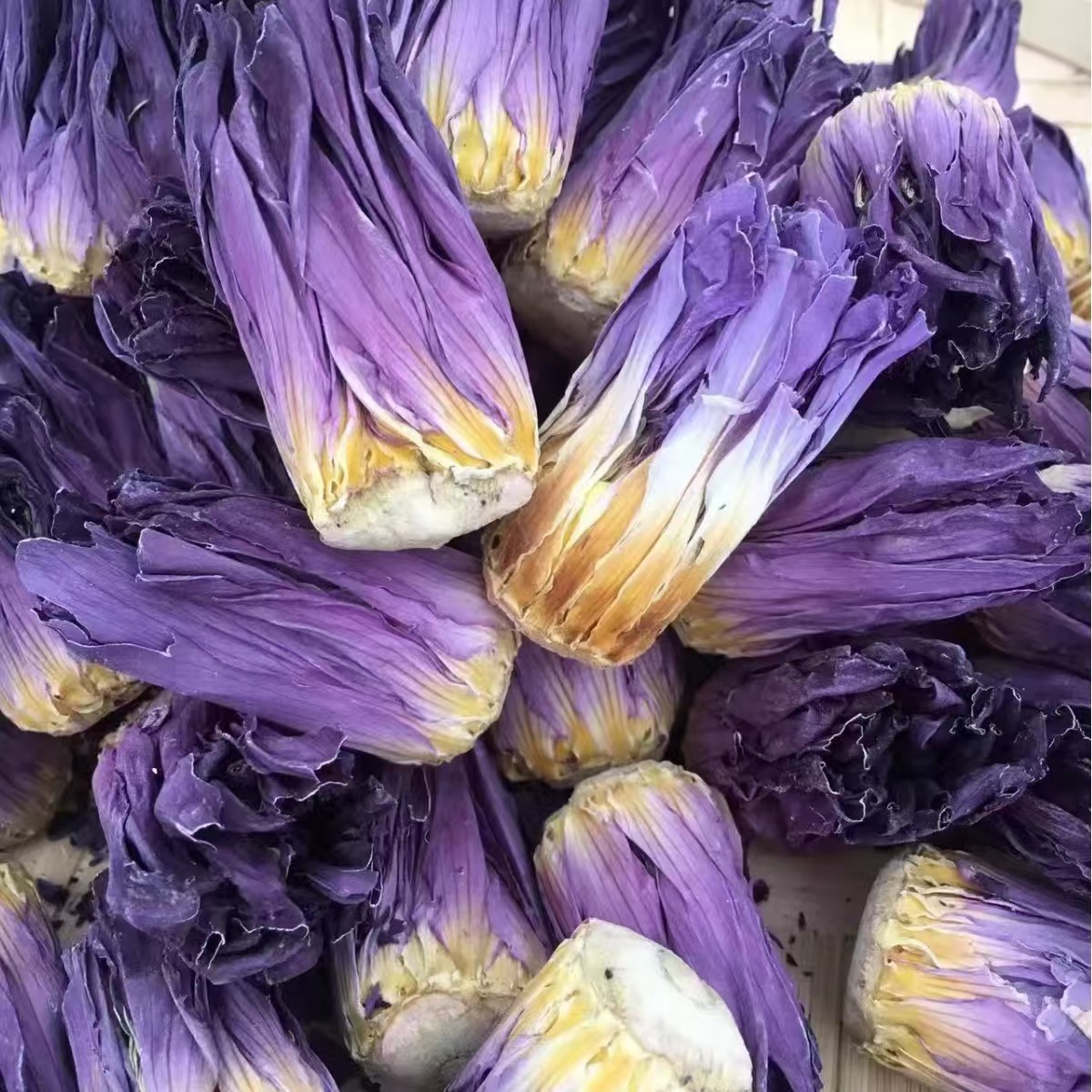Nine-Grade Fragrant Water Lily Flower Tea (Nymphaea) — Yellow & Purple Herbal Infusion - Image 3
