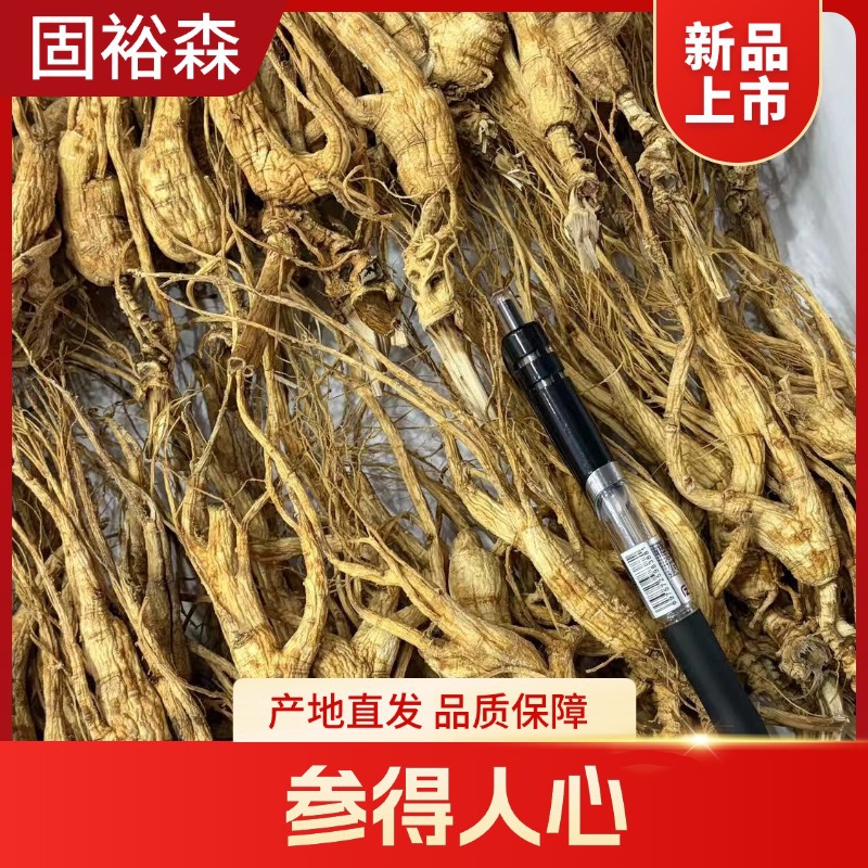 Forest Grown Ginseng Seeds 18-20 Years Dried Root Slices for Cooking and Decoction - Image 3