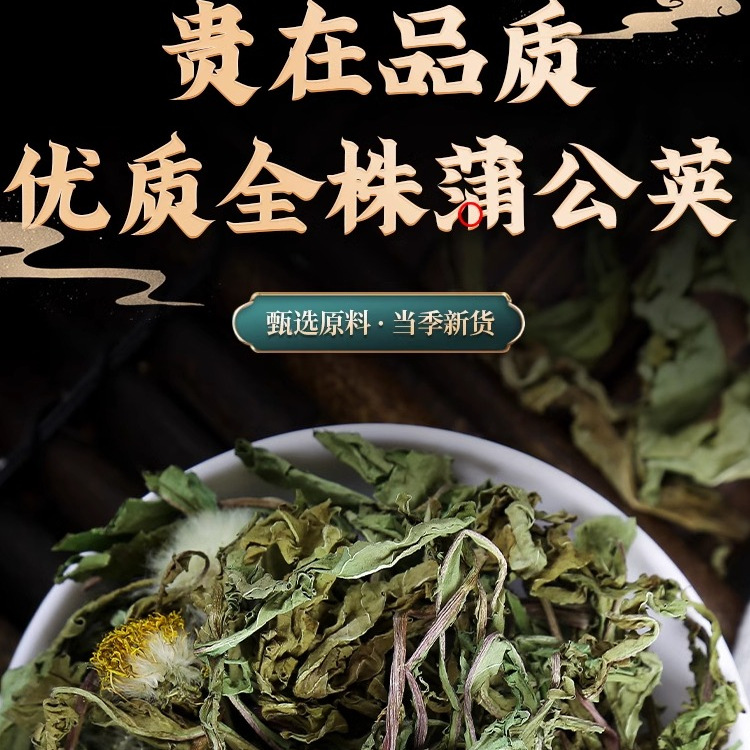 Wild Dandelion Tea Pu Gong Ying 500g 250g 100g Dried Whole Plant Cut Herbal Tea - Image 2