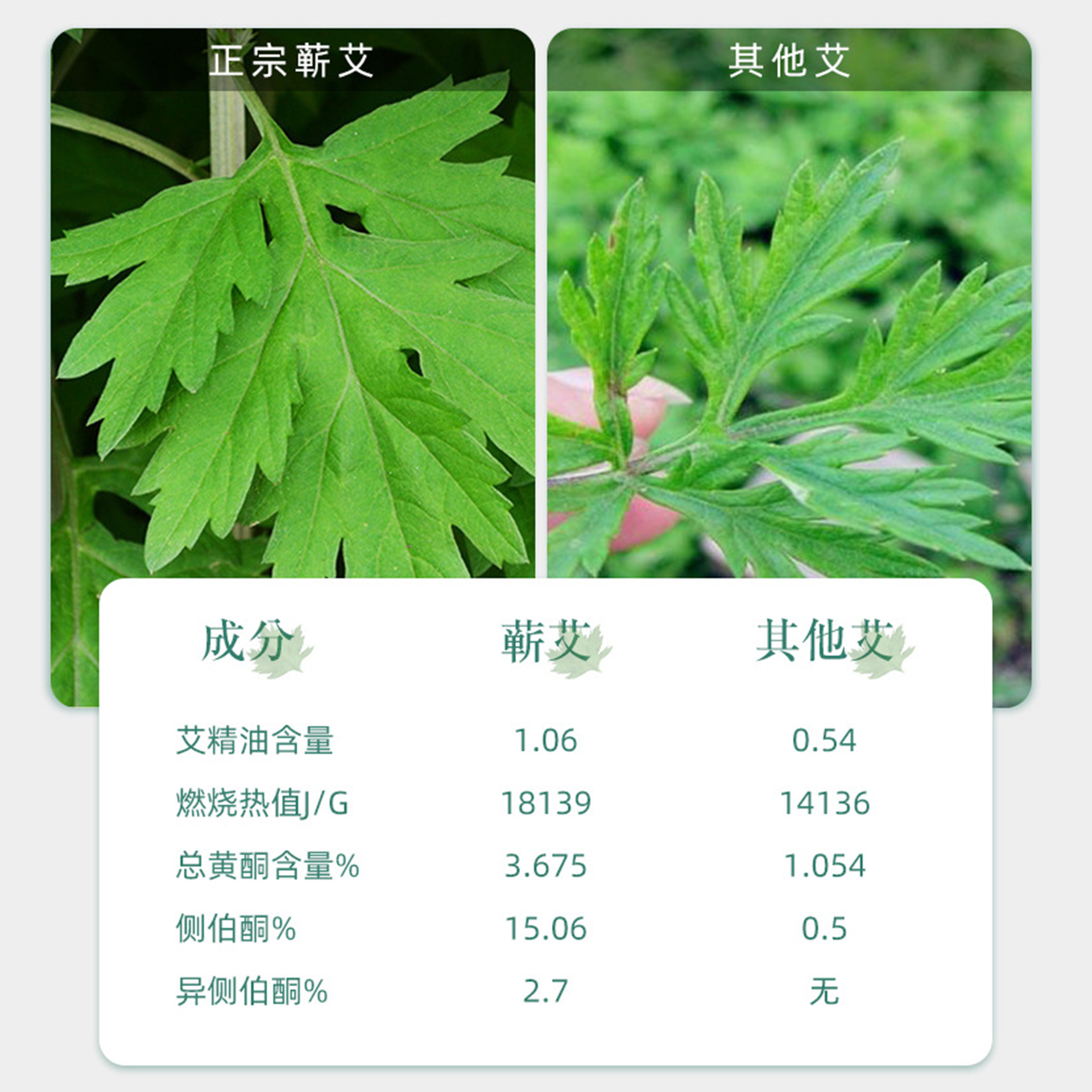 Qiyitang Lumbar Patch Qichun Mugwort Herbal Patch 12 Patches per Box - Image 3