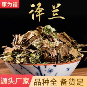Ze Lan Herb (Lycopus lucidus) — Dried Chinese Herb for Decoction & Tea