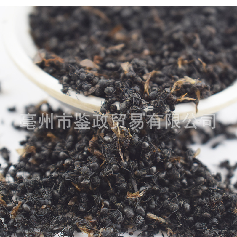 Dried Black Ant Whole Insect 500g Traditional Chinese Herbal Material for Infusion and Decoction Use - Image 3
