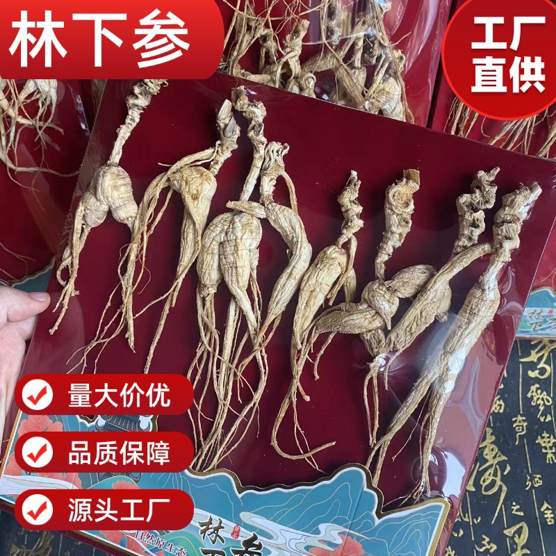 Dried Forest Ginseng Root Slices 50g Wild-Simulated Ginseng for Cooking and Decoction - Image 3