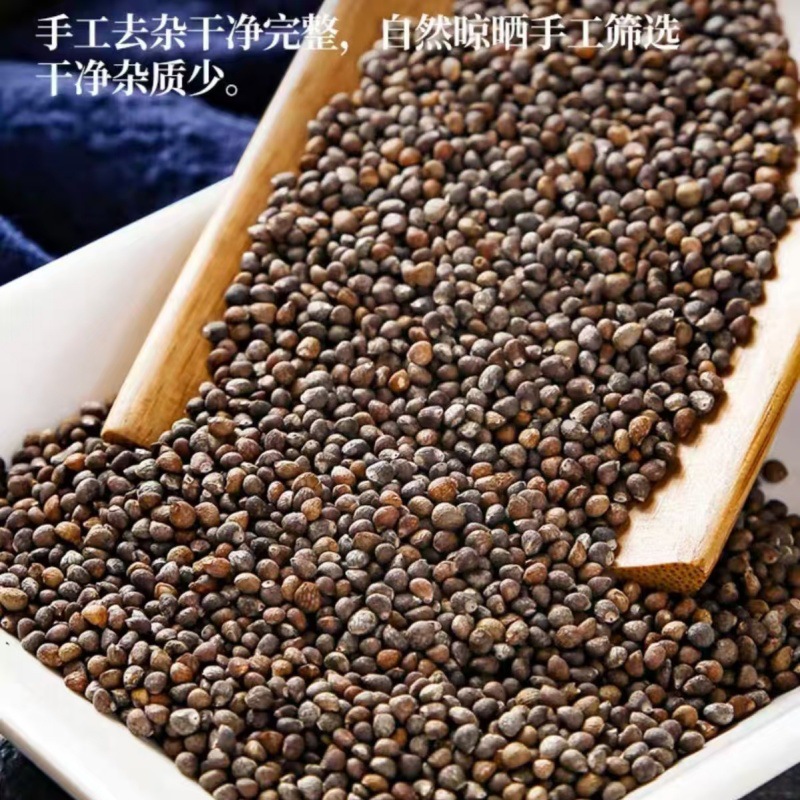 Zi Su Zi Powder (Perilla frutescens) — Roasted Perilla Seed Powder, 500g Food Herb - Image 3