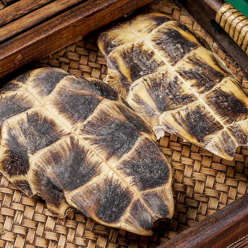 Gui Ban (Plastrum Testudinis) — Dried Turtle Shell Herb for Decoction & Soup - Image 2