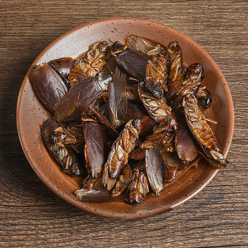 Fei Lian (Blatta orientalis) Dried Medicinal Insect — Traditional Chinese Herbal Material - Image 4