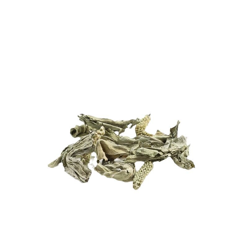 Dried Plantain Herb Che Qian Cao Whole Herb Tea and Decoction Herb 70g Bag - Image 5