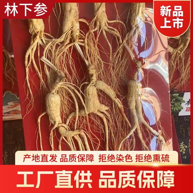 Wild-Simulated Ginseng Slightly Imperfect Roots 100g Dried Sliced for Cooking and Decoction - Image 4