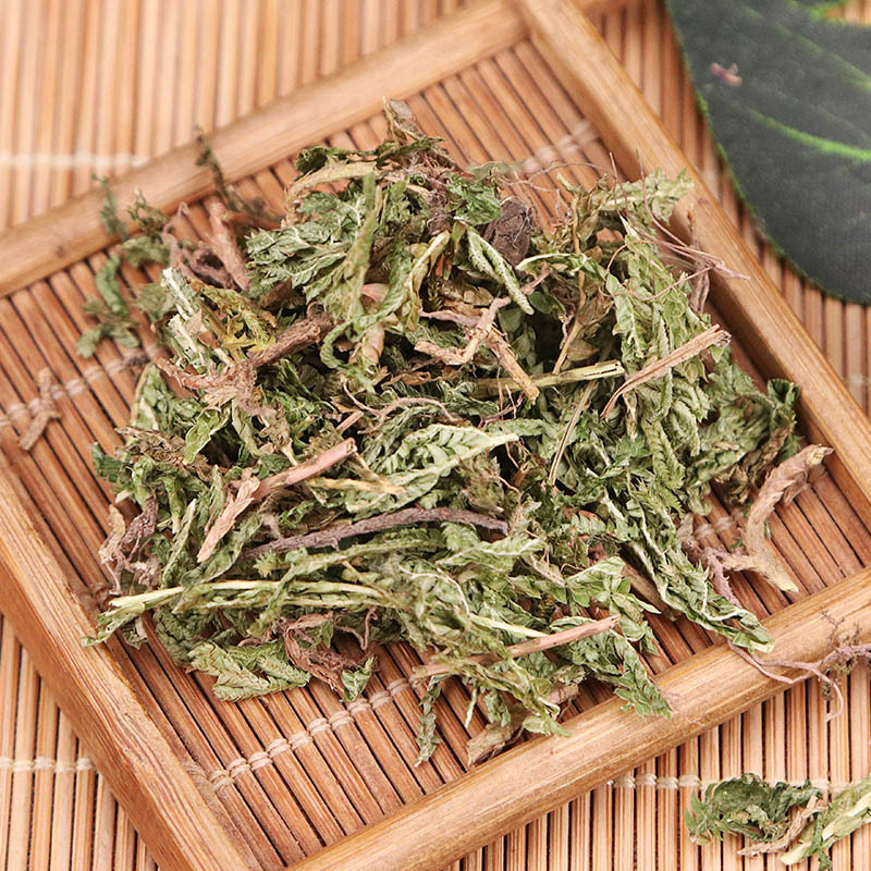 Shi Shang Bai (Selaginella doederleinii) — Sulfur-Free Deep Green Dried Herb, 500g - Image 2