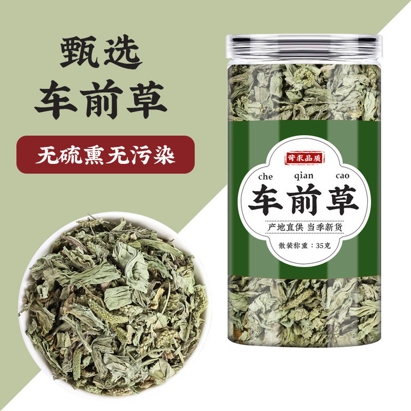 Dried Plantain Herb Che Qian Cao Whole Herb Tea and Decoction Herb 70g Bag - Image 3