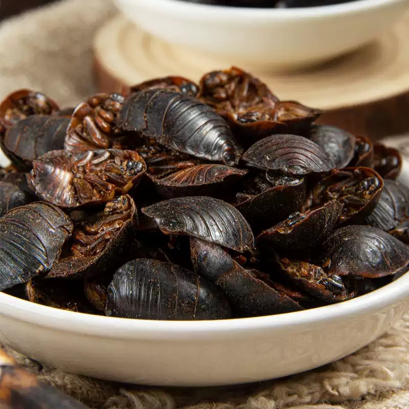 Tu Yuan Dried Ground Beetle Whole Insect TCM Herb 500g Shandong Origin - Image 4