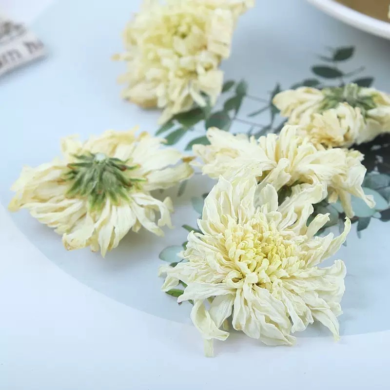 Huangshan Gong Ju Chrysanthemum Tea Dried July Chrysanthemum Flowers Loose Herbal Tea 500g Bulk - Image 4