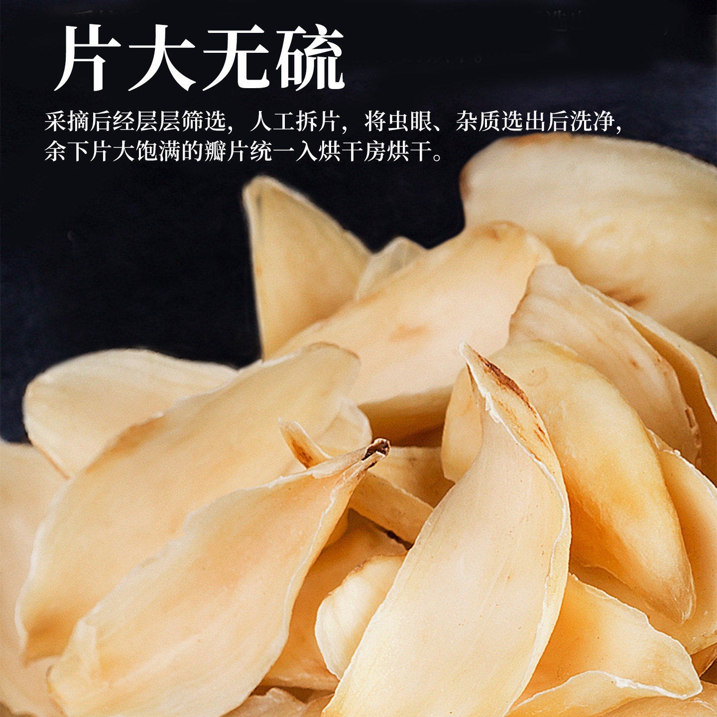 Dried Lily Bulb 500g Sulfur Free Hunan Bai He for Congee and Tea - Image 3