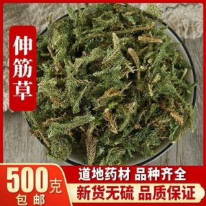Shen Jin Cao (Lycopodium clavatum) — Dried Herbal Stems for Traditional Decoctions & Soaks