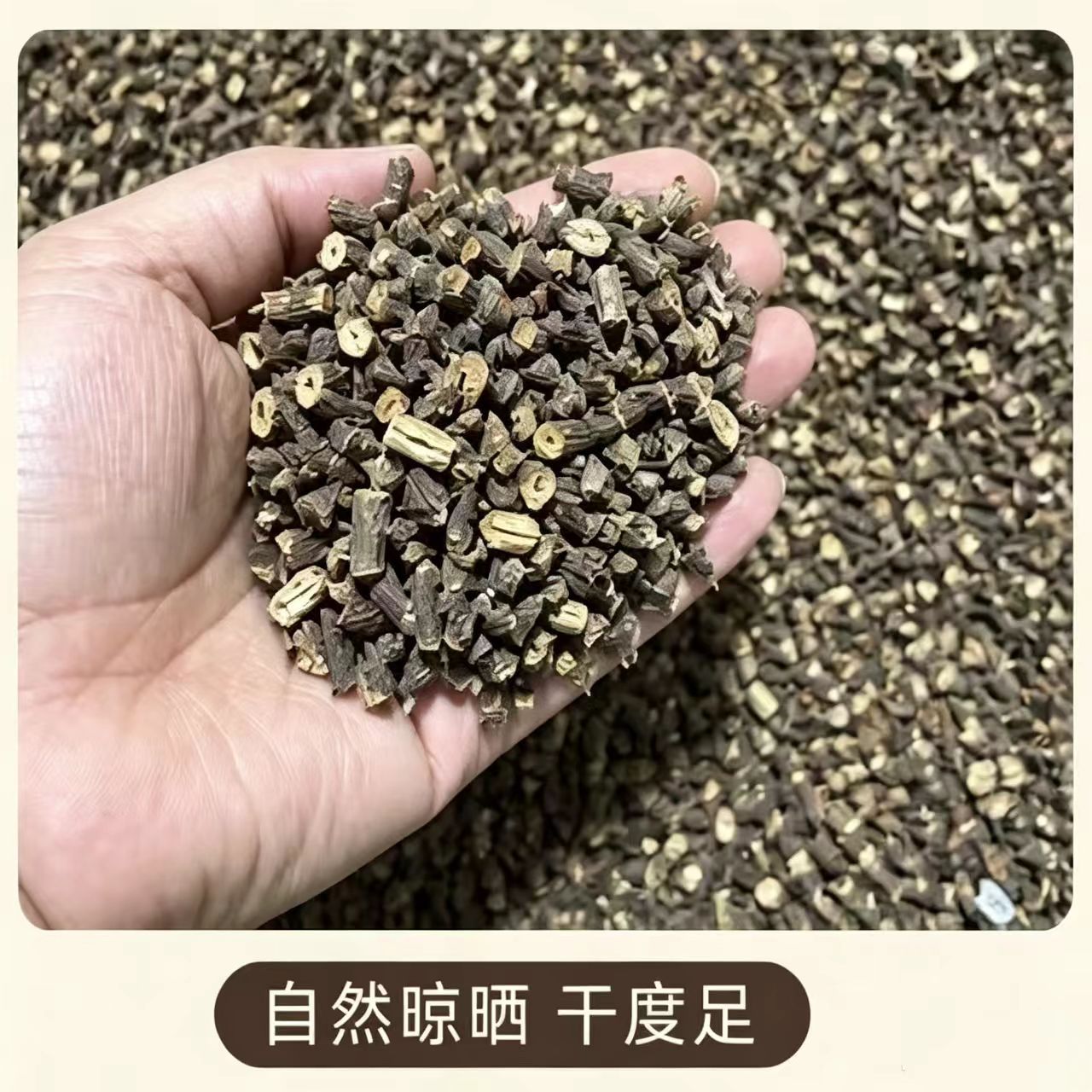 Dried Cassia Twig Gui Zhi Tips 1000g Bag Culinary Herb from Guangxi - Image 3