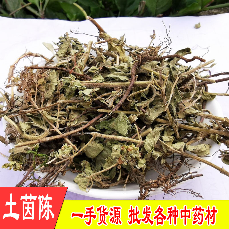 Tu Yin Chen (Artemisia capillaris / Herba Artemisiae) — Dried Yin Chen Herb, 500g - Image 2